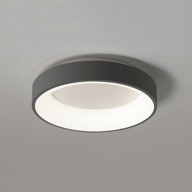 Contemporary modern flush store mount ceiling lights